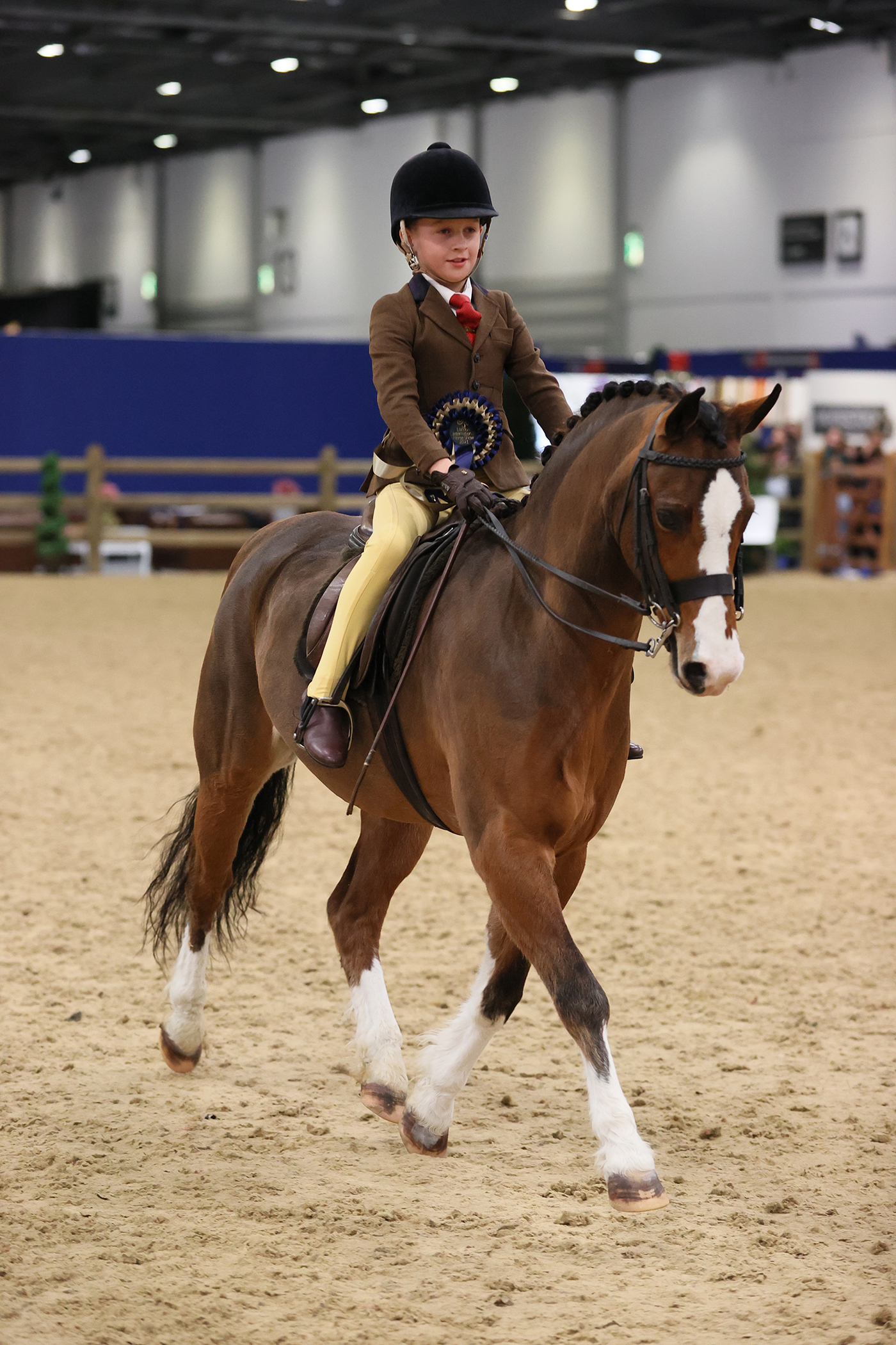 The London International Horse Show