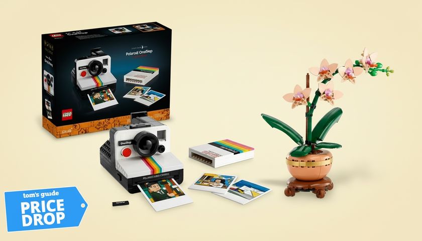 Lego Polaroid and Botanical sets