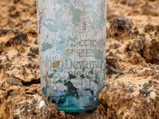 A glass expert found the bottles would have held a variety of drinks, including alcoholic beverages such as gin, liqueur and whiskey.