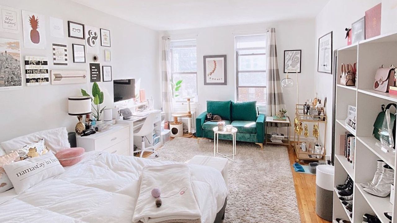 A studio apartment with a couch, desk, bed and shoe shelves