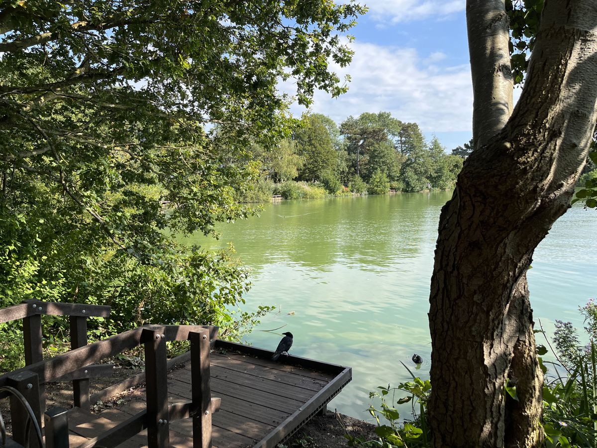 Camera samples from the iPhone 13 showing what the camera is capable of