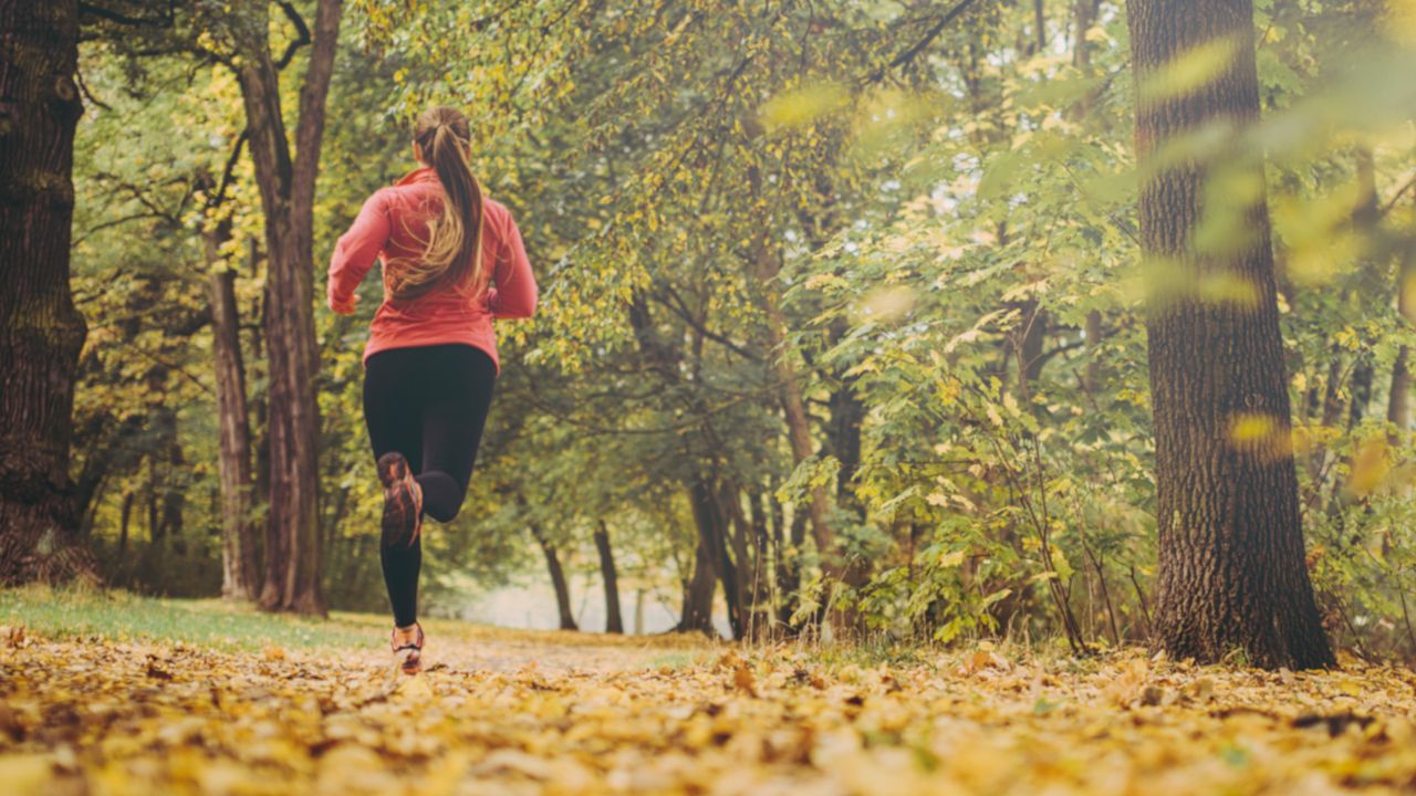 Woman running in the wood