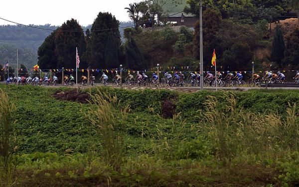 The Tour de Langkawi peloton at km 60.