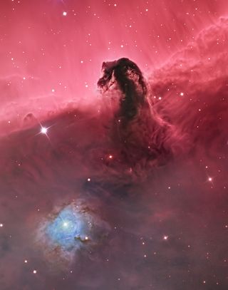 The Horsehead Nebula shines in this stunning view of the star-forming region taken from the United States. Sept. 18, 2014.