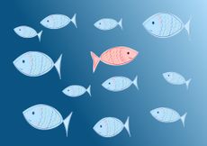 digital image of a small pink fish swimming in the opposite direction as several small blue fish