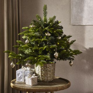 Small Christmas tree with gifts