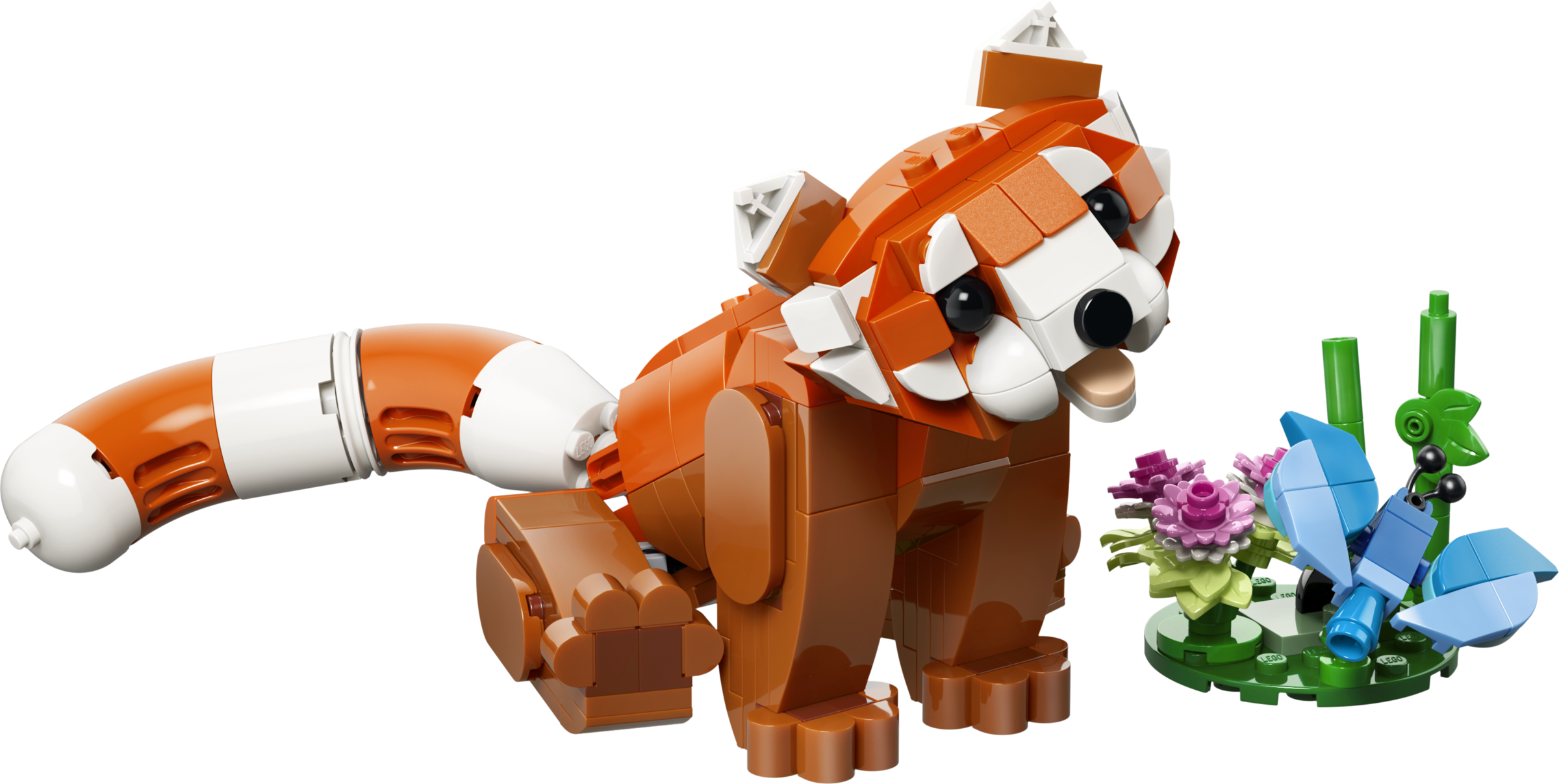 Cute Animals: Red Panda