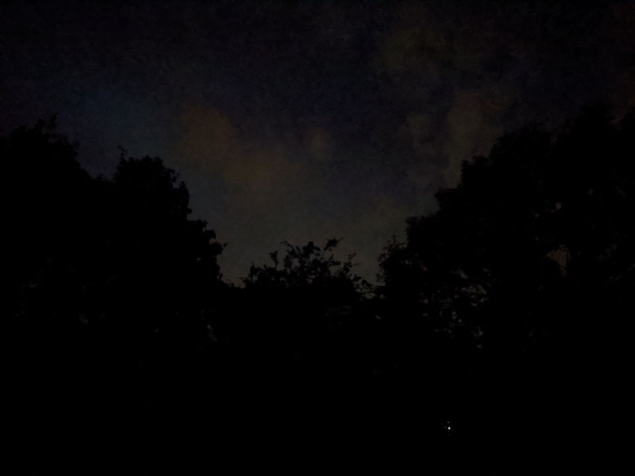 Google Pixel 4a