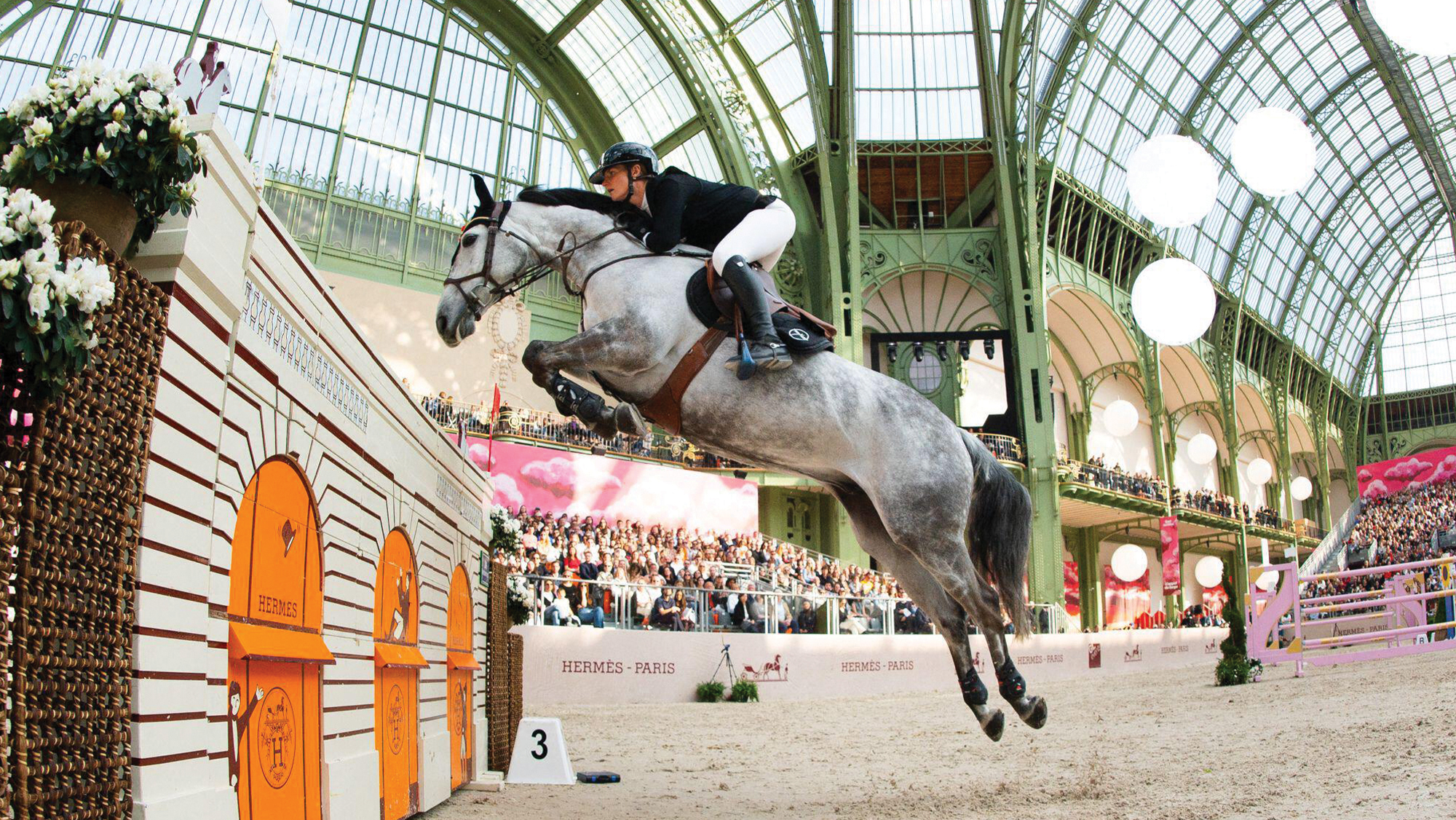 Jessica Burke jumping Rocky in Paris