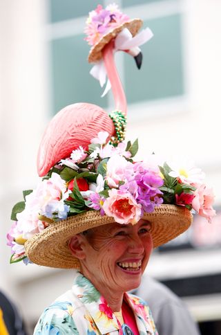 kentucky derby flamingo hat