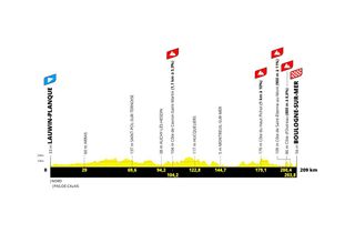 Tour de France 2025 stage 2 profiel