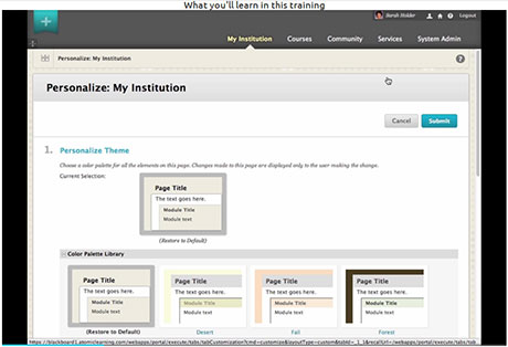 Video Tutorial: Blackboard Learn™ 9.1 Service Pack 14 - Instructor Training