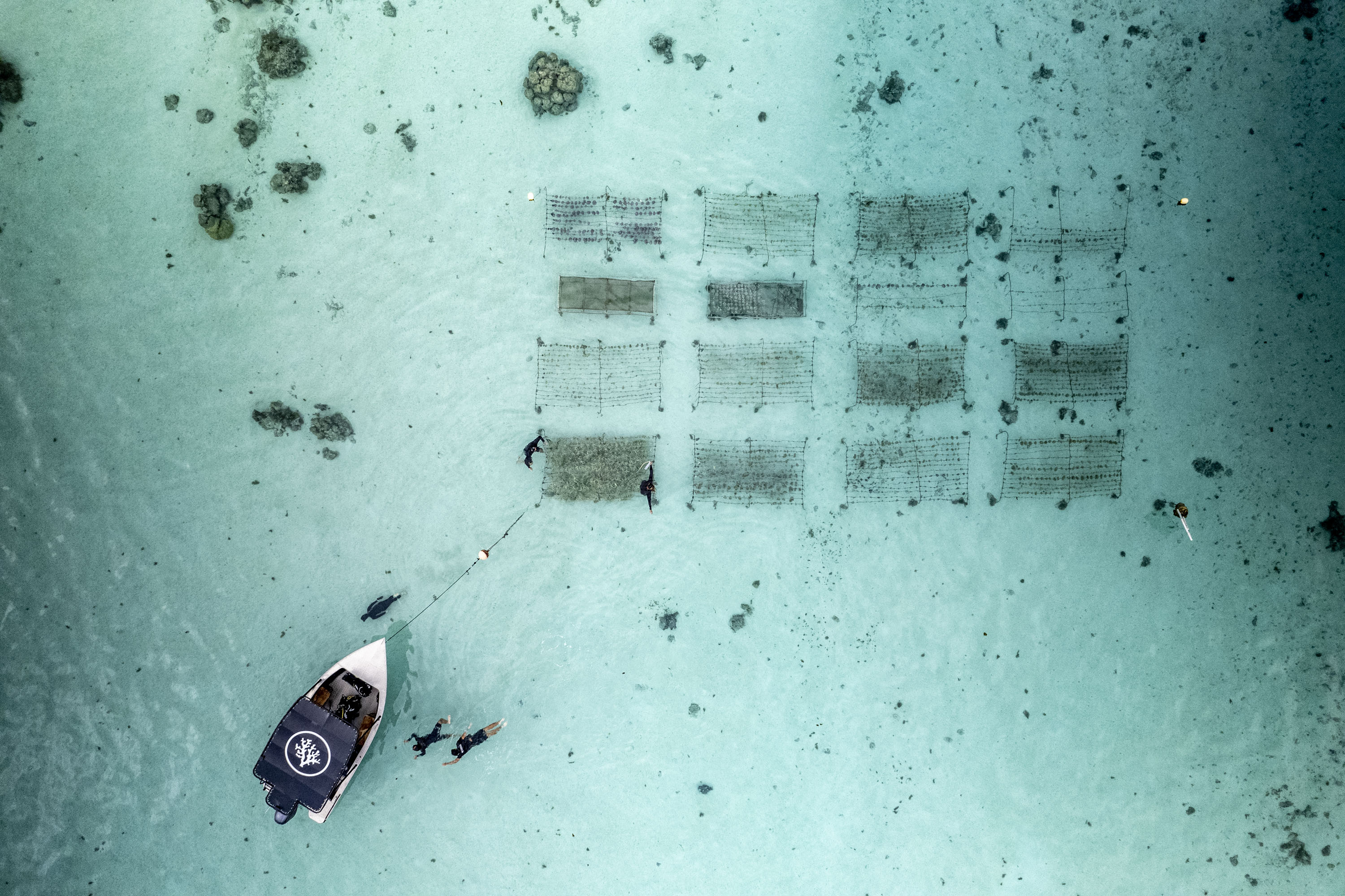 Aerial view of a coral nursery