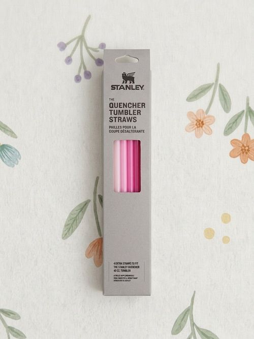 Stanley Quencher Tumbler Straws