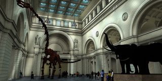 An artist's rendition of how the titanosaur Patagotitan mayorum will fit into the Field Museum's great hall.