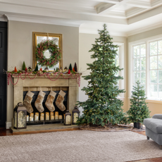 Naked Tree next to open fire place wit stockings, a wreath and red beads