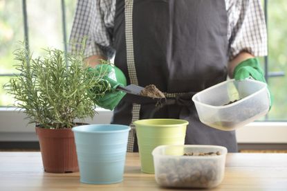 Gardener Putting Soil Into Containers