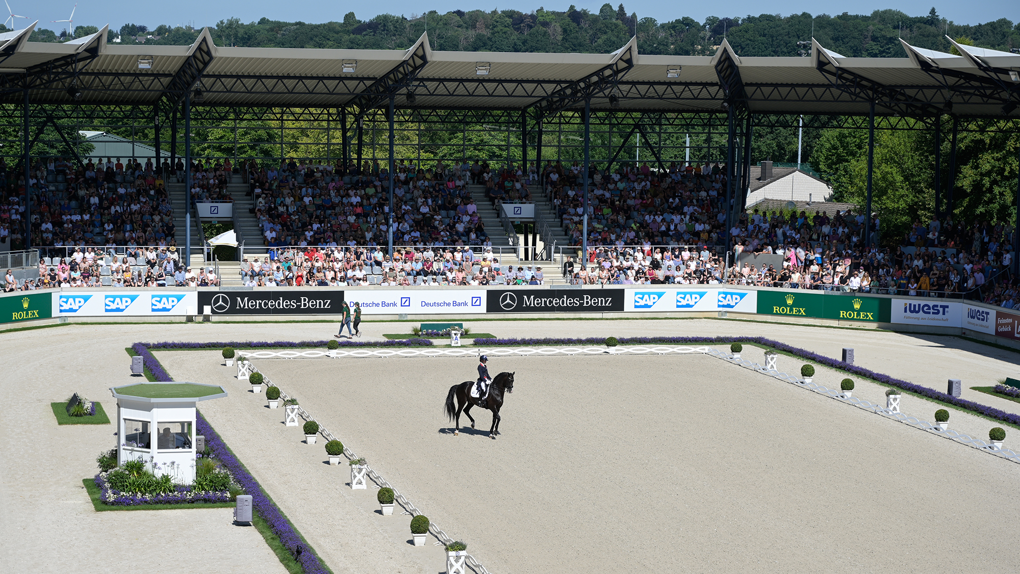 A horse performing a dressage test in the Aachen arena, where the 2026 World Dressage Championships will be hosted
