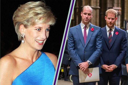 Princess Diana, Prince William and Prince Harry