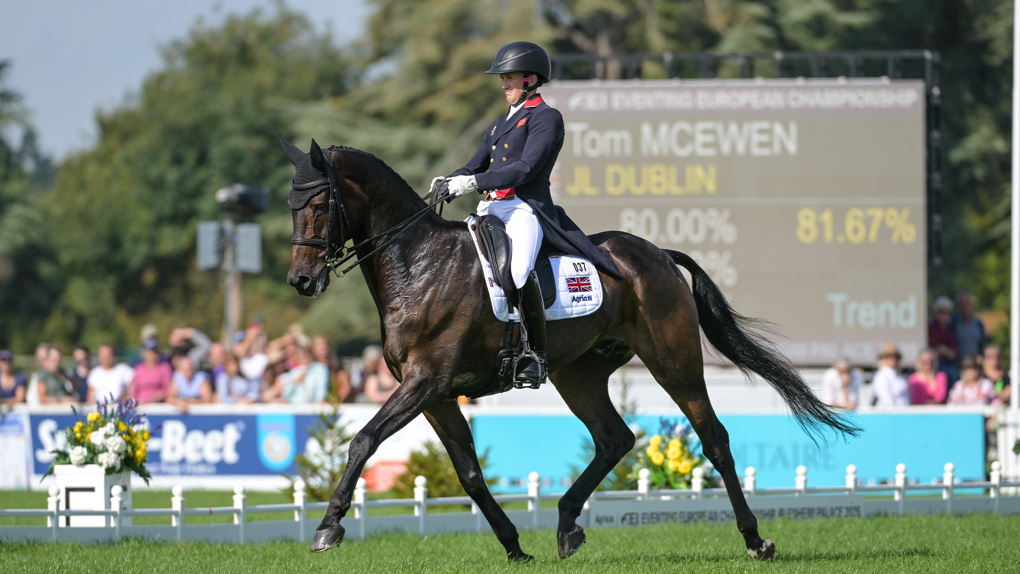 Tom McEwen riding dressage test on JL Dublin