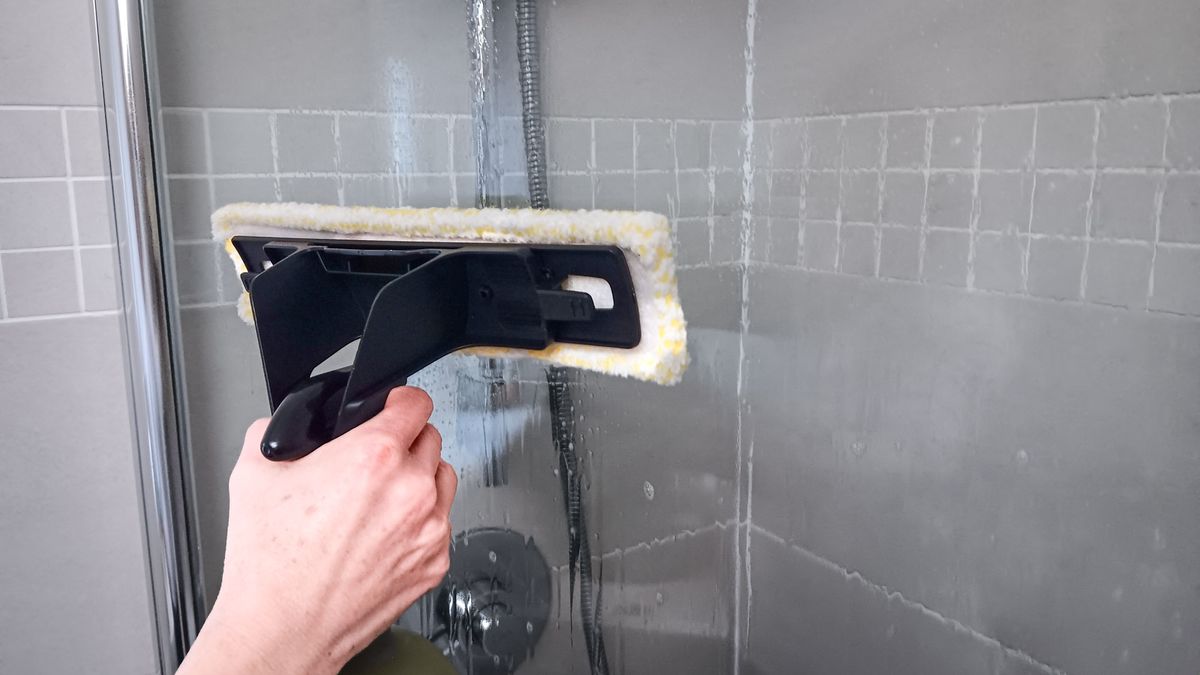 Karcher WV 6 Plus Cordless Window Vac