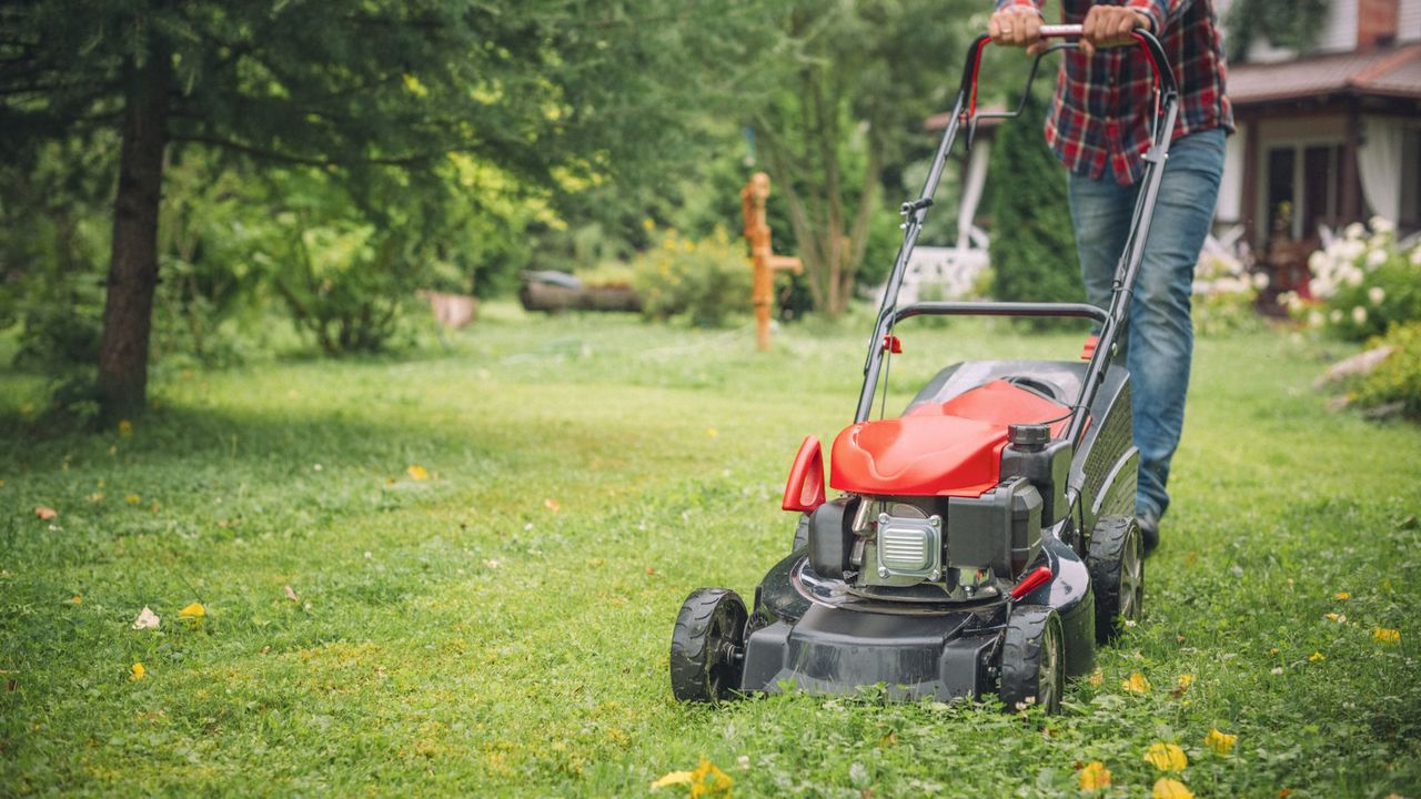 Man using a lawnmower in his backyard