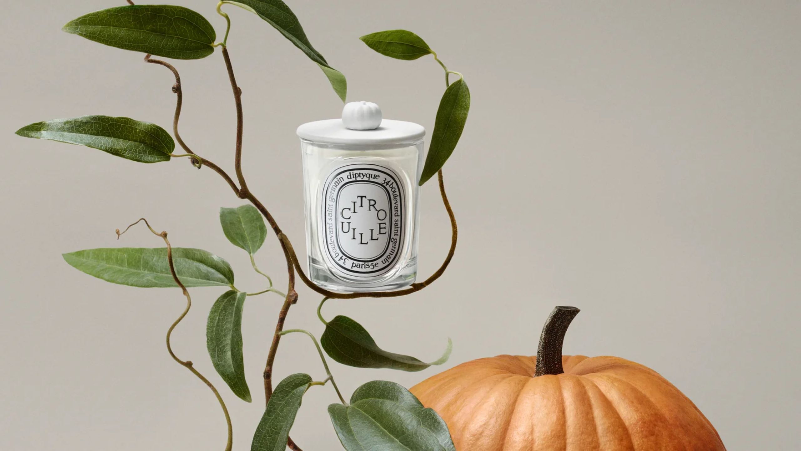 Diptyque Citrouille Classic candle header with pumpkin and vines