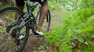 Close up of man's legs as he cycles through forest