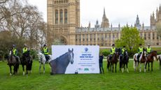 World-Horse-Welfare-Westminster-180423-5.jpg