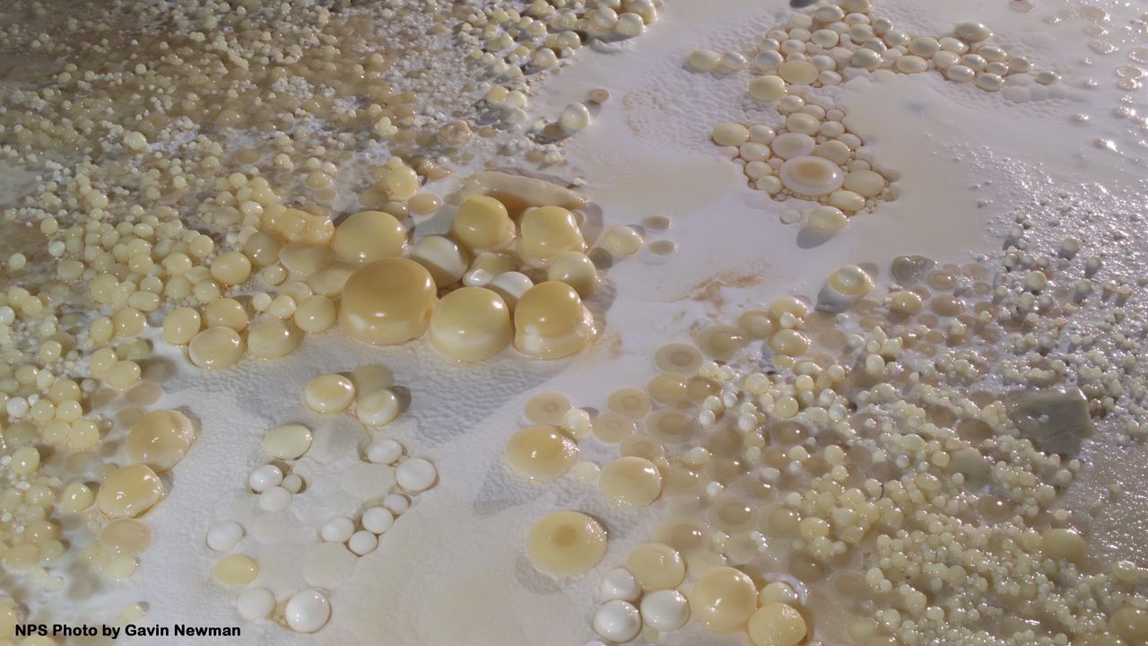 Cave pearls on the floor of a cave at Carlsbad Caverns.
