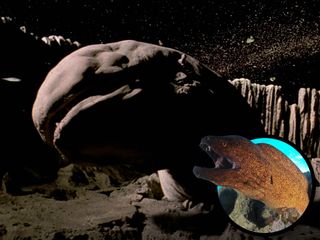 Exogorth from Star Wars and a moray eel,