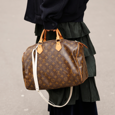 Louis Vuitton Speedy street style