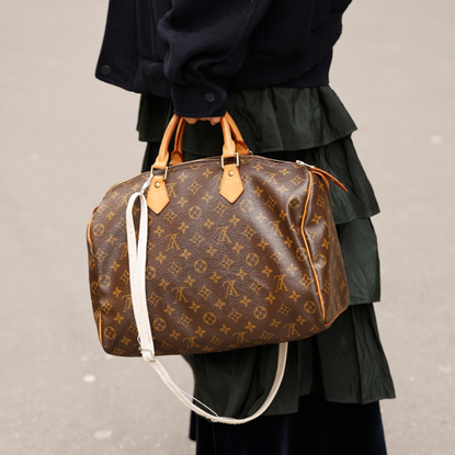 Louis Vuitton Speedy street style