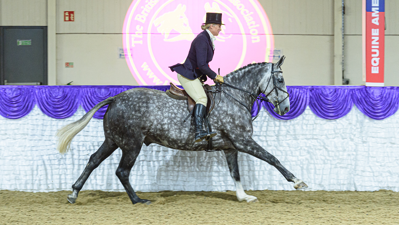 Phillips-Working-Show-Horse-Champion-Justine-Armstrong-Small-KILRUANE-DIAMON