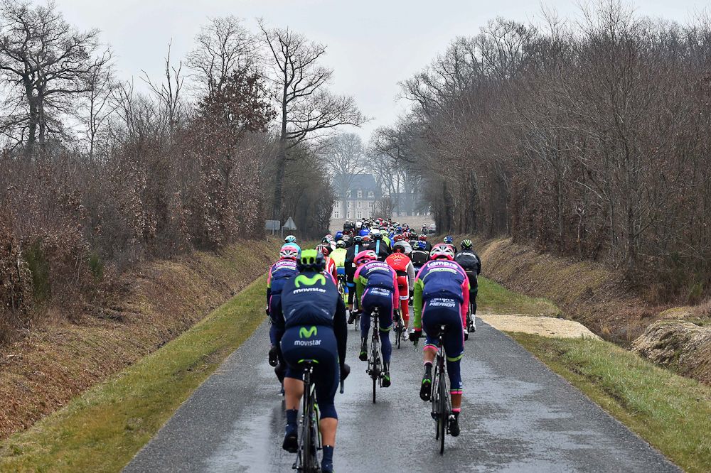 The peloton passes through a tree-lines road.