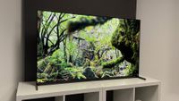 The 55-inch Sony Bravia 8 II QD-OLED TV photographed on a white table. On the screen is a nature documentary.