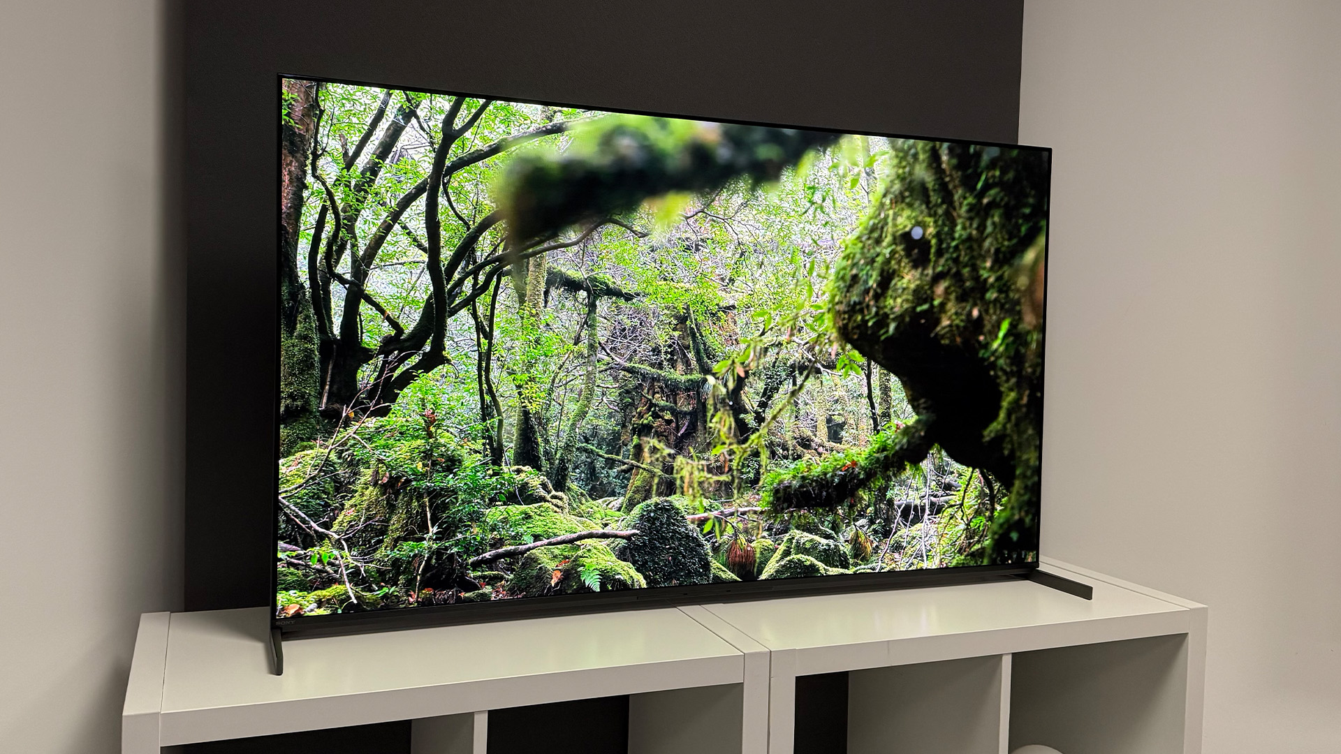 The 55-inch Sony Bravia 8 II QD-OLED TV photographed on a white table. On the screen is a nature documentary.