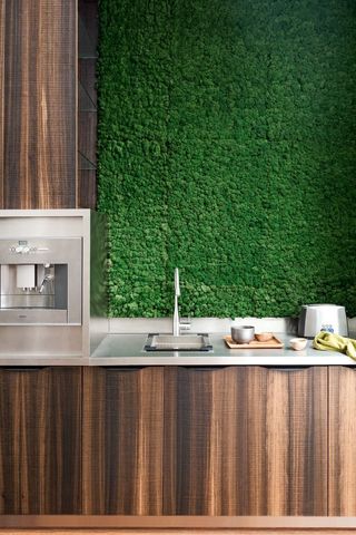 how to bring the outdoors in with a moss wall