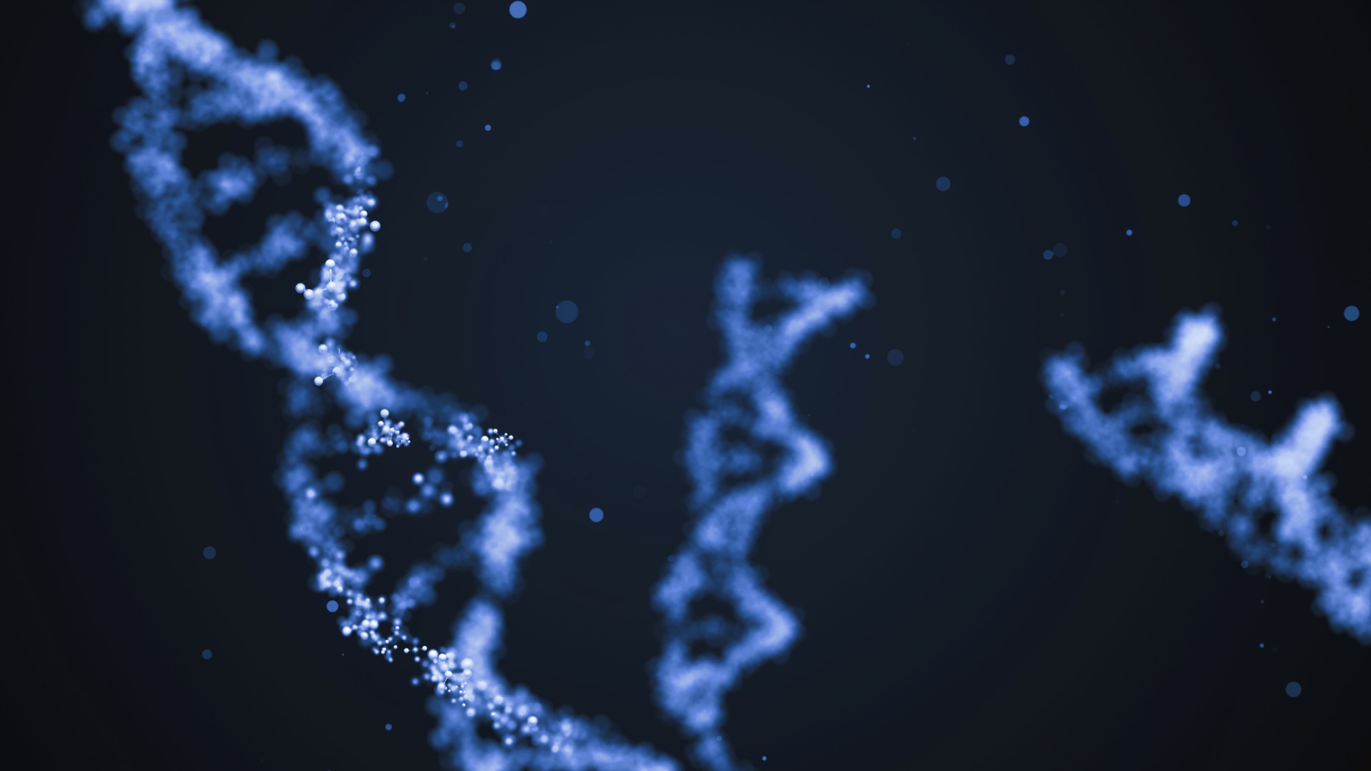 A stock photo of DNA strands. 