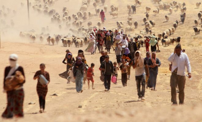 Yazidis