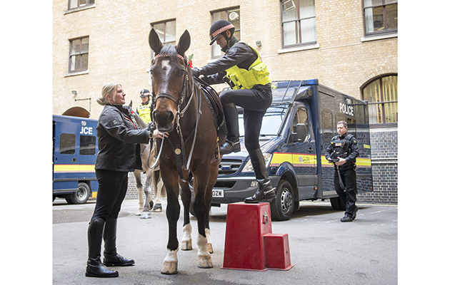 The colour and sex of the horses don’t matter, but the lowest height is usually 16.2hh because the horses need to be imposing