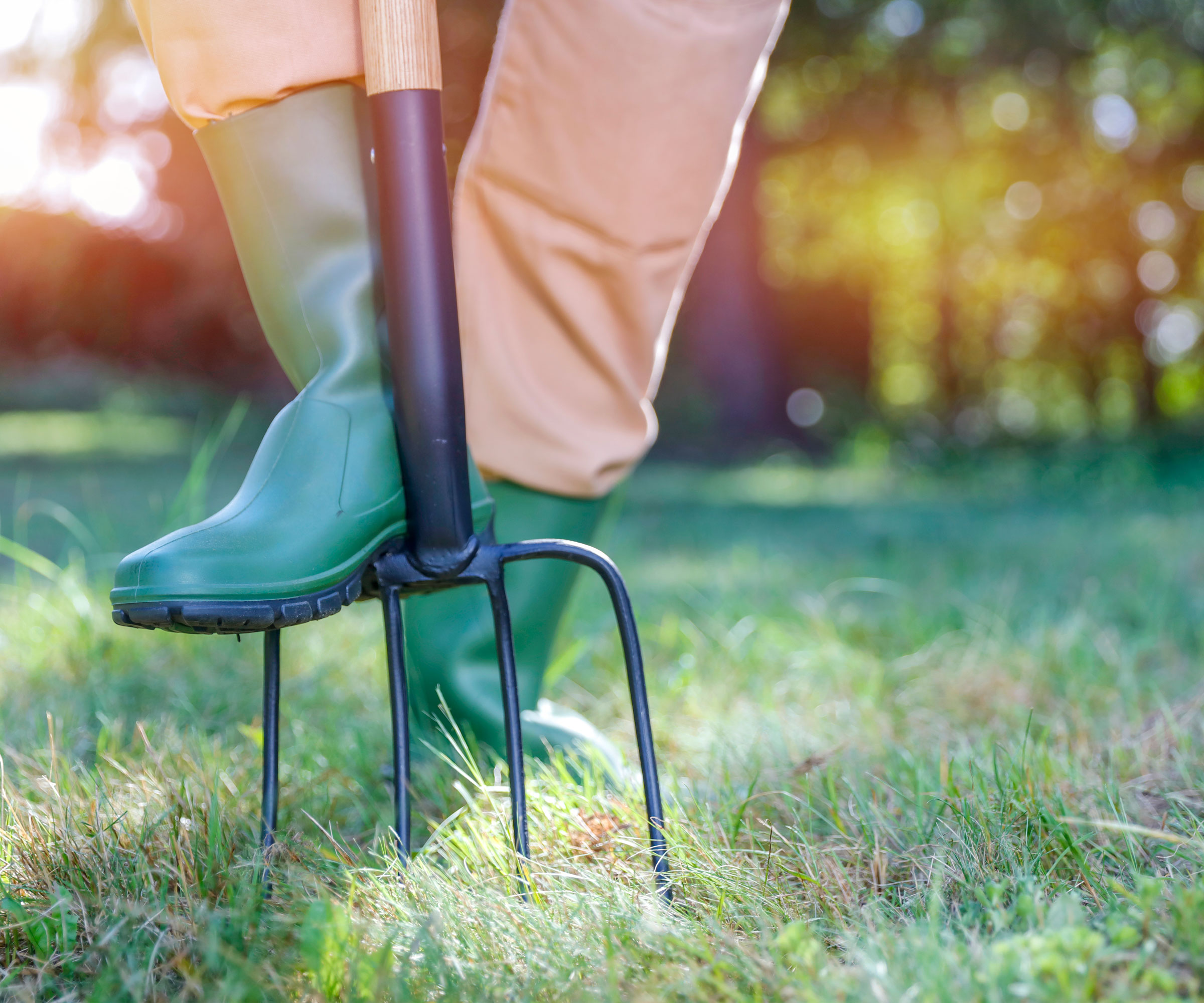 using garden fork to aerate garden lawn