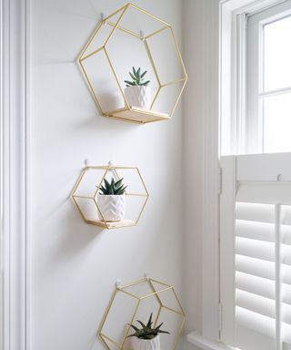 A white wall with three geometric gold shelves with plants on them