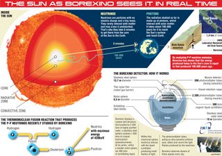 Scientists studying the sun have detected solar neutrinos forged in the star's heart for the first time. This infographic depicts how the discovery was made using the Borexino detector in Italy.