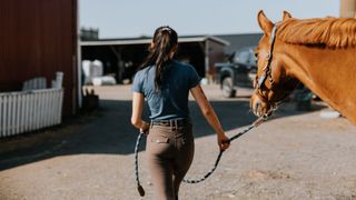 Woman leading horse away from the camera