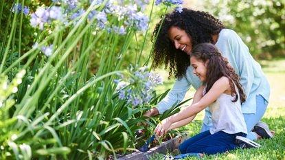 woman and child tending to agapanthus in garden