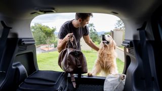 man taking dog on road trip