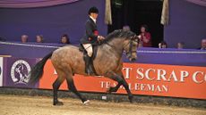 H&H&rsquo;s showing editor Bethan Simons and her dun section D Ballynacoy Prince competing in the M&M championship at HOYS in 2017; she shares what you need to know if you are competing at HOYS for the first time.