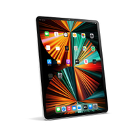iPad Pro (2021):  $800