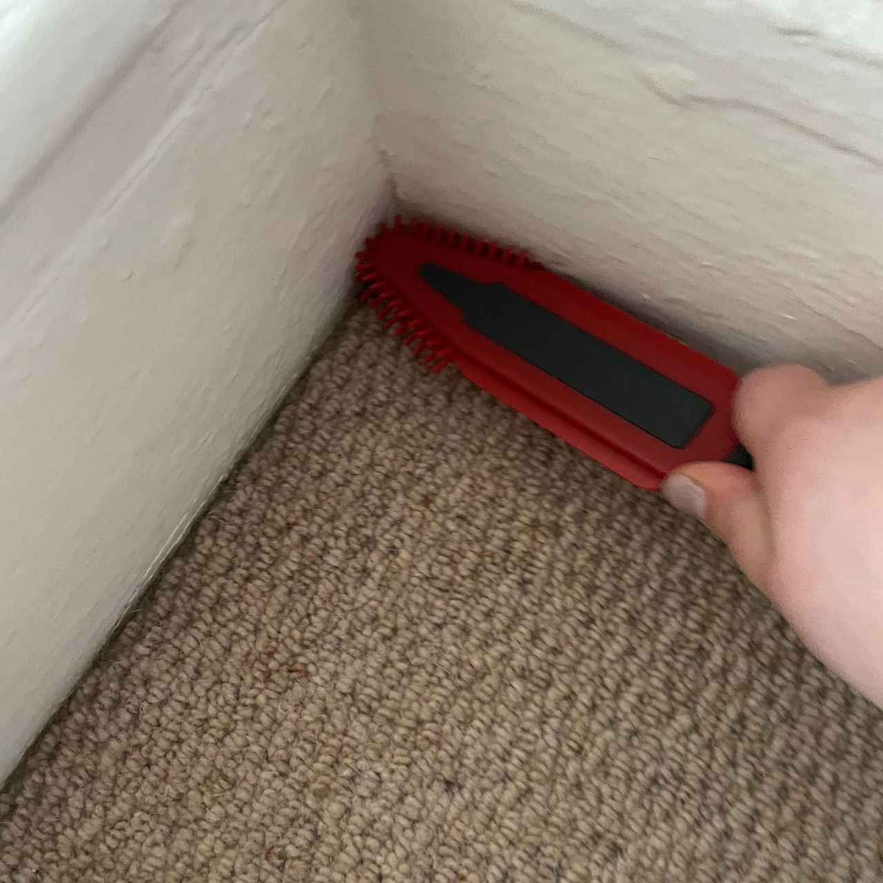 Using Vileda hand brush in the corner of cream carpet
